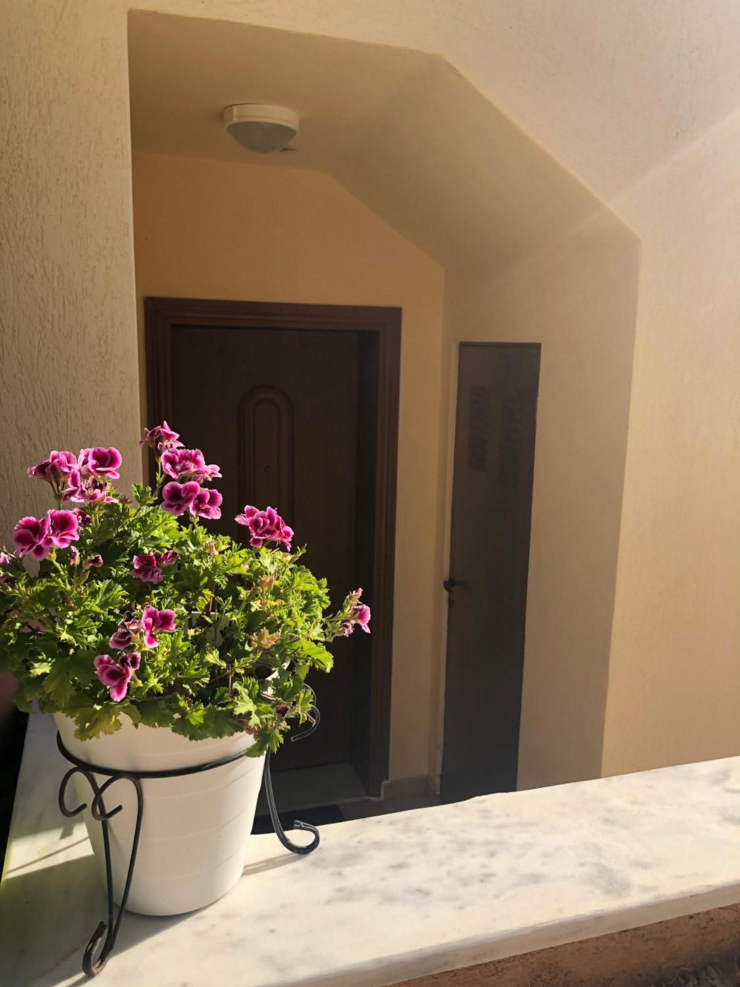 Artemis House Apartman Kültér fotó